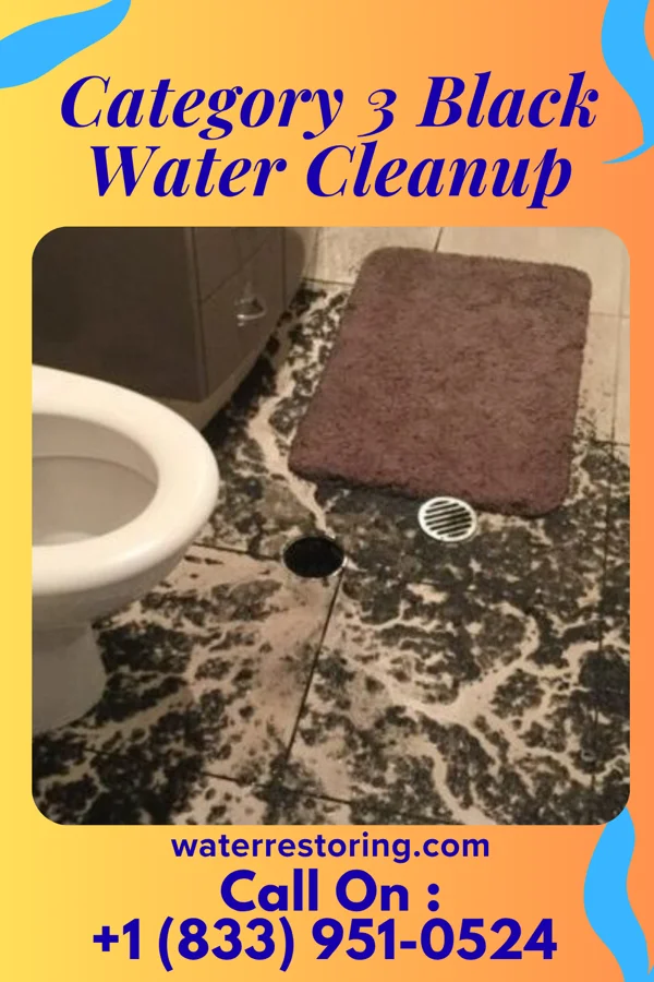 Category 3 Black Water Cleanup in Exline, IA