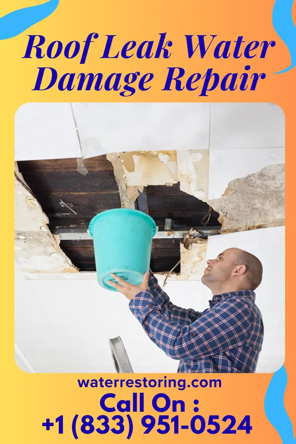 Roof Leak Water Damage Repair in Exline, IA