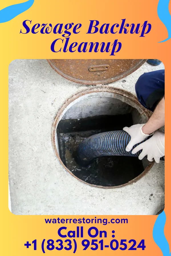 Sewage Backup Cleanup in Exline, IA